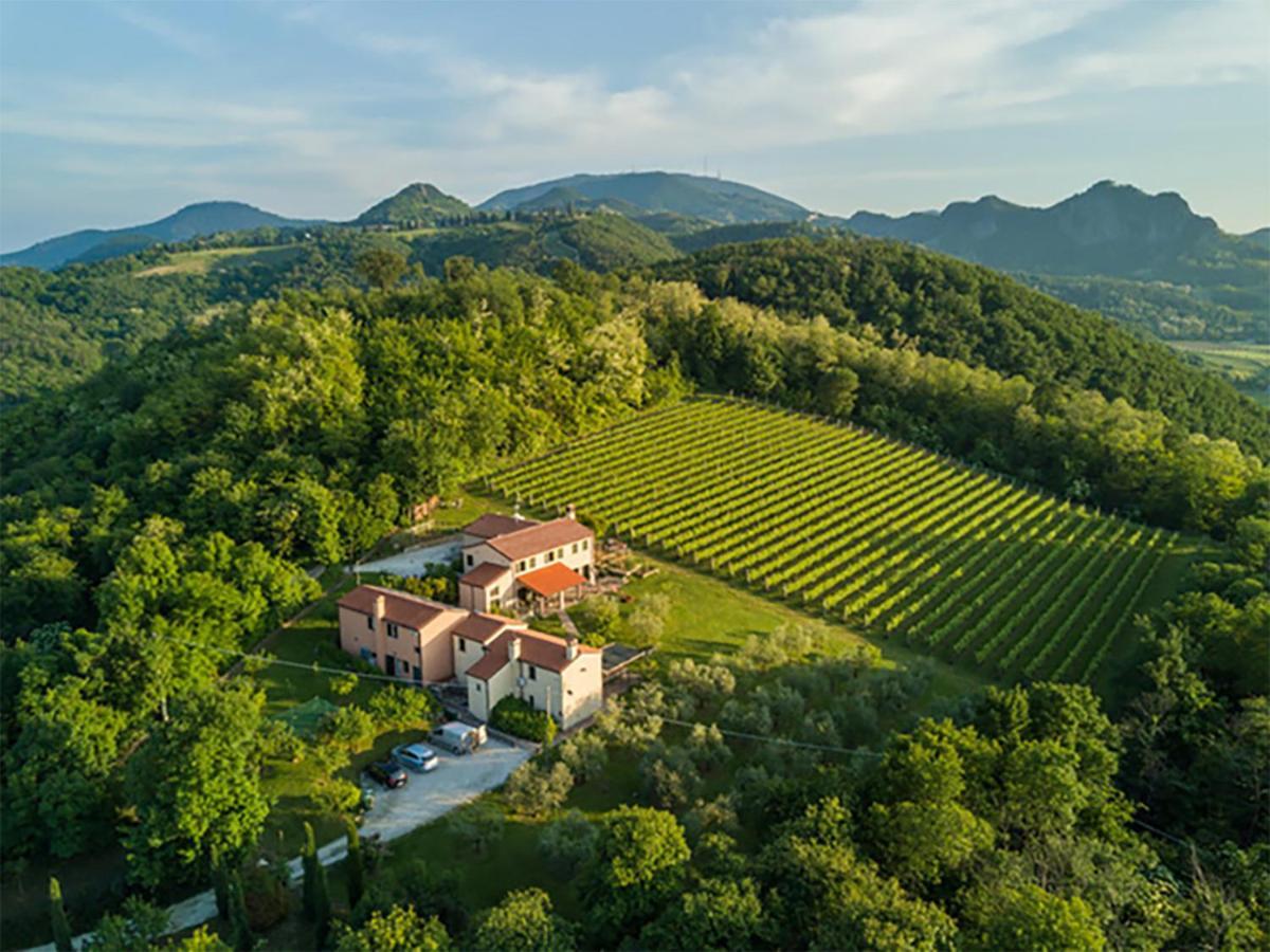 Agriturismo Terre Bianche Apartment Teolo Exterior photo