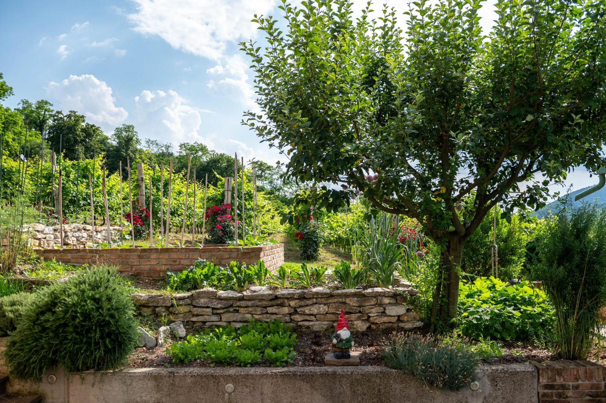 Agriturismo Terre Bianche Apartment Teolo Exterior photo