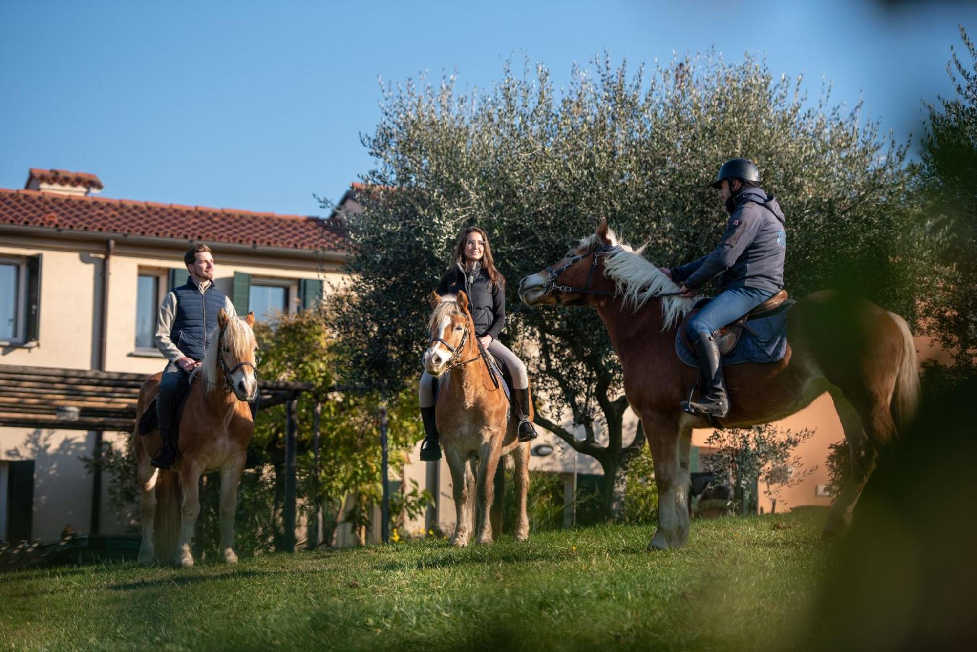 Agriturismo Terre Bianche Apartment Teolo Exterior photo