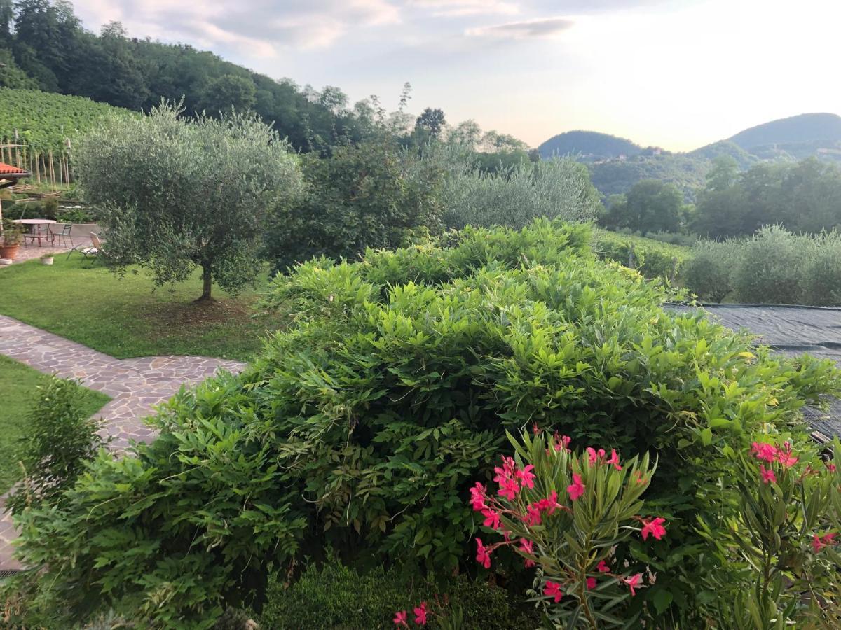 Agriturismo Terre Bianche Apartment Teolo Exterior photo